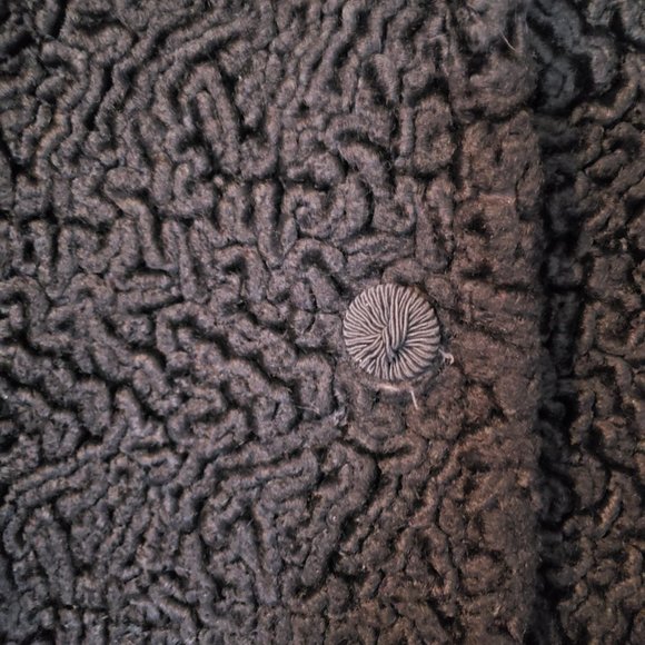 1950s Vintage Peck & Peck Curly Lamb Coat with Mink Collar - Picture 7 of 9